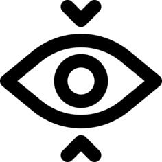 Vision
