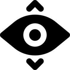Vision