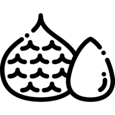Fruit