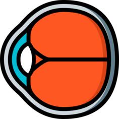 Eye