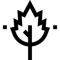 Leaf