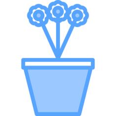 植物盆栽