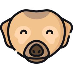 狐獴