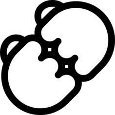 拳
