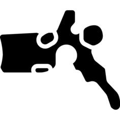 Vertebra