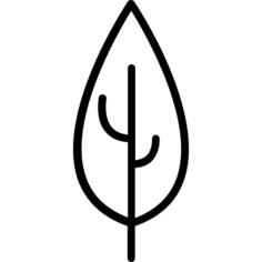 Leaf