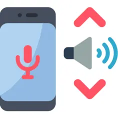 Voice assistant