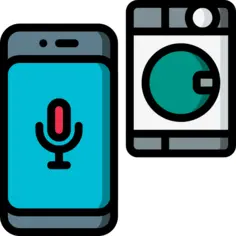 Voice assistant