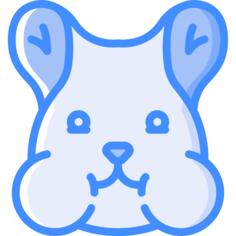 Hamster