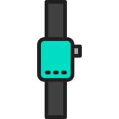 Wristwatch
