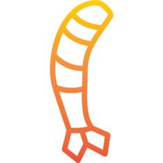 虾