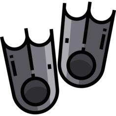 Flippers