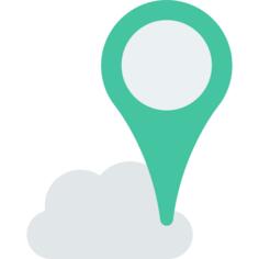 Pin