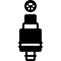 Plug