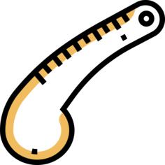 Curve