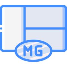 马达加斯加