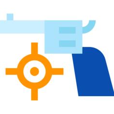 Gun