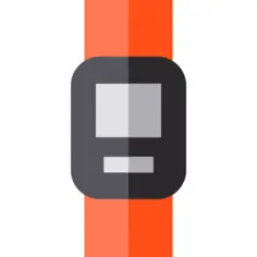 Wristwatch