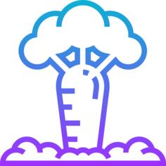 Baobab