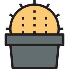 仙人掌