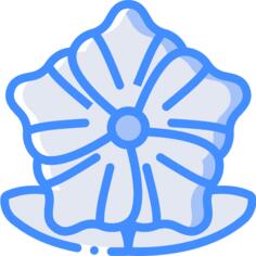 Melastome