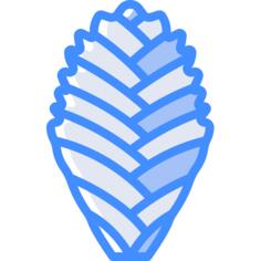 Bromeliaceae