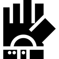 Glove