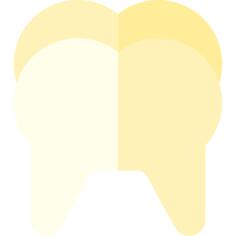 齿