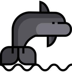 海豚