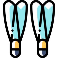 Flippers