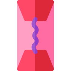 Gum