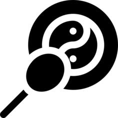 阴阳
