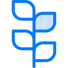 Cress