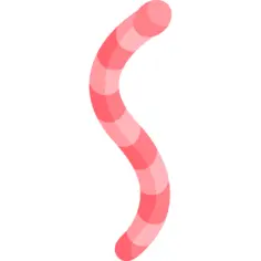 Worm