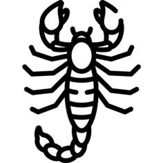 蝎