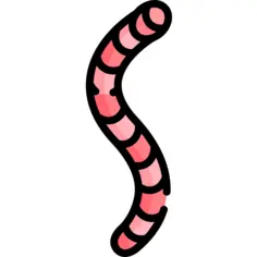 Worm