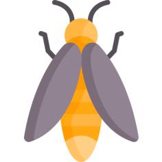 Firefly