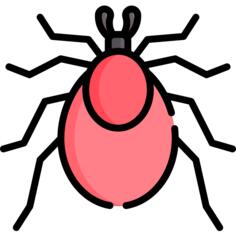 Mite