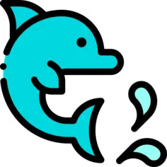 Dolphin