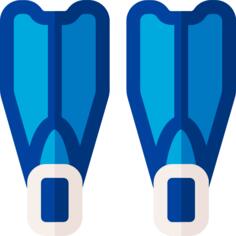 Flippers