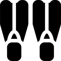 Flippers