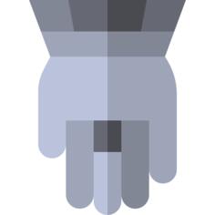 Hamsa