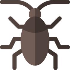 Cockroach