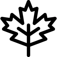 Maple leaf