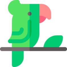 Parrot