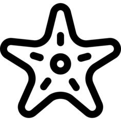 海星