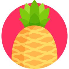 菠萝