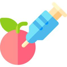 GMO