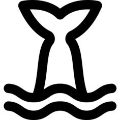 鲸