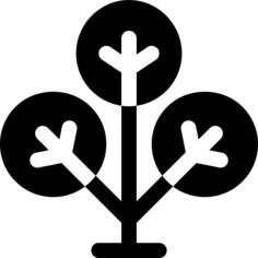 Phylogenetic